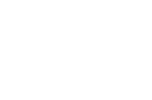 white sand saver